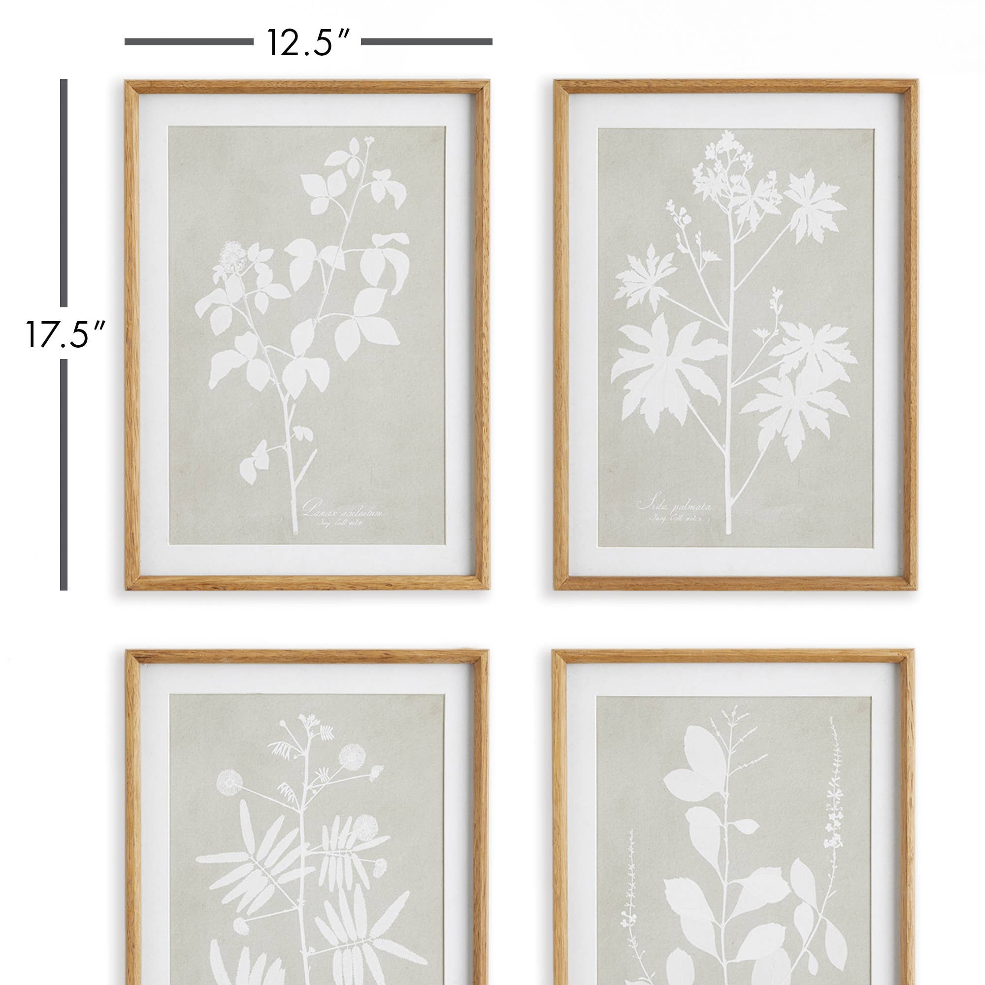 Napa Home & Garden – wholesale Gallery wall set – Foliage Study, Set Of 43