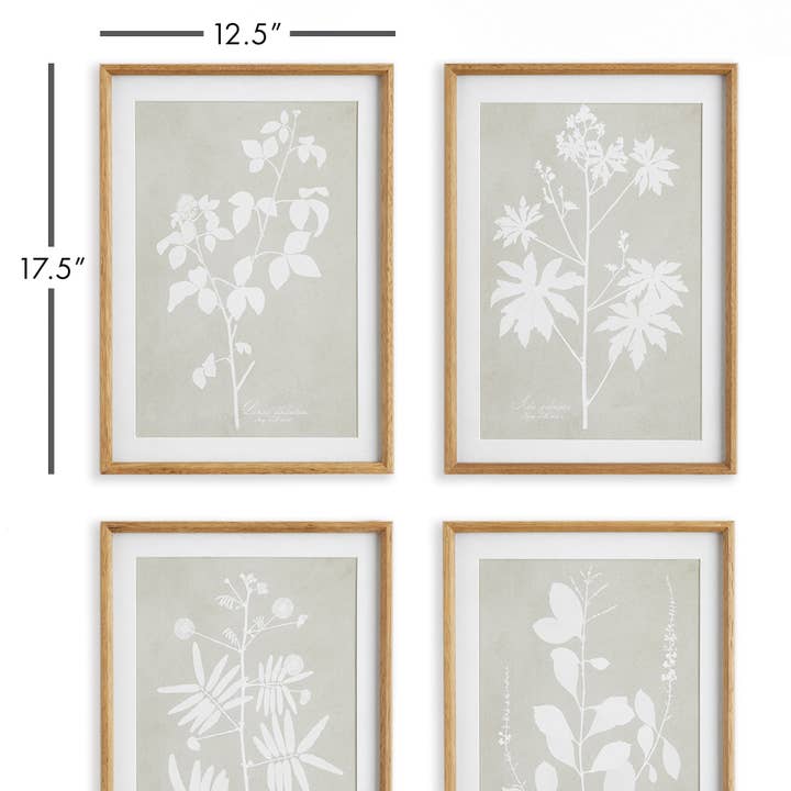 Napa Home & Garden – wholesale Gallery wall set – Foliage Study, Set Of 43