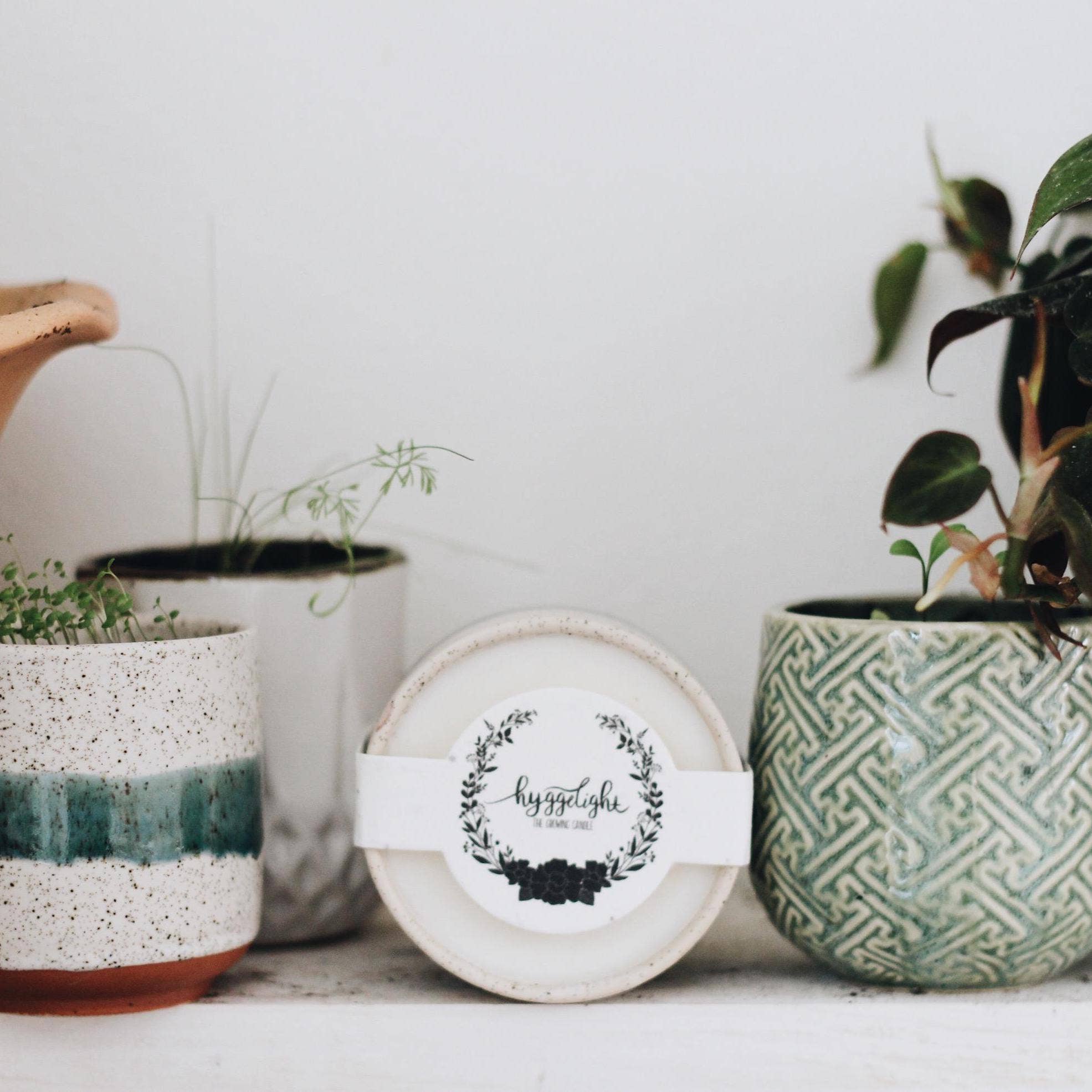 Hyggelight | The Growing Candle ® - Wholesale Jar/Filled Candle - Edith | Growing Candles, flower seed-label, eco-friendly3