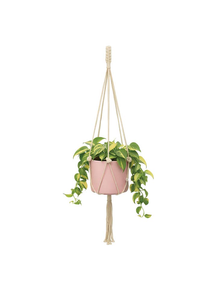 Plant Hanger for wholesale by Soul of the Party