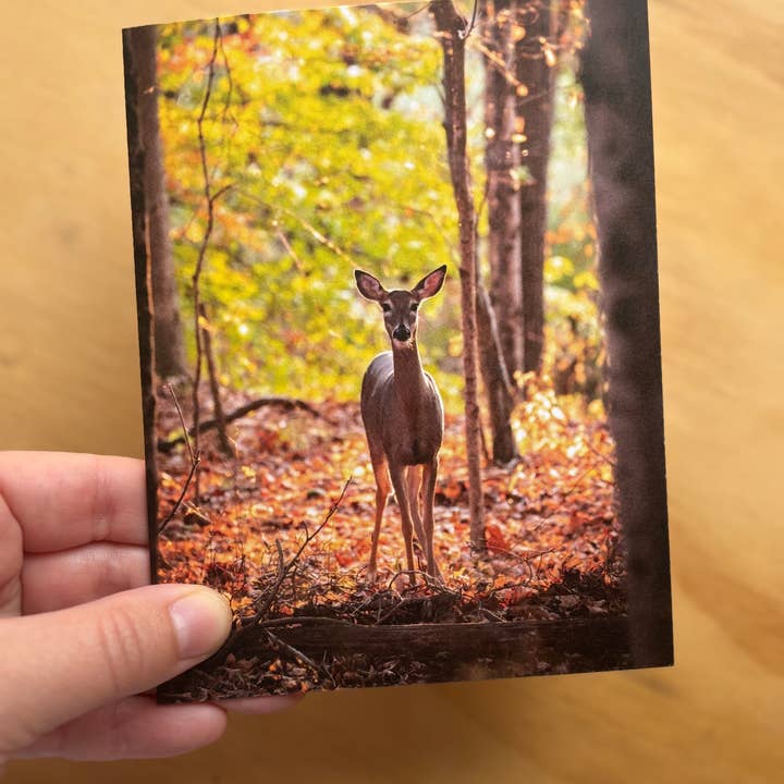 Andrea Morris Art - Wholesale Stationery/Notecard Set - Fall Card Variety Pack (5 Different Cards + Envelopes)4