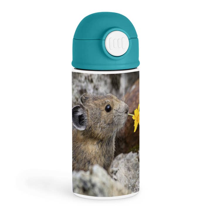 3dRose - Wholesale Water bottle - 3dRose, Washington, North Cascades NP, Pika wildlife - US48 BJA0235 - Jaynes Gallery, Kids Water Bottle