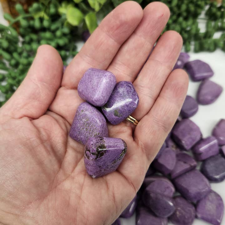 Meraki Gemstones - Wholesale Spiritual Stone/Crystal - Stichtite Tumbled Gemstones (22-30MM)