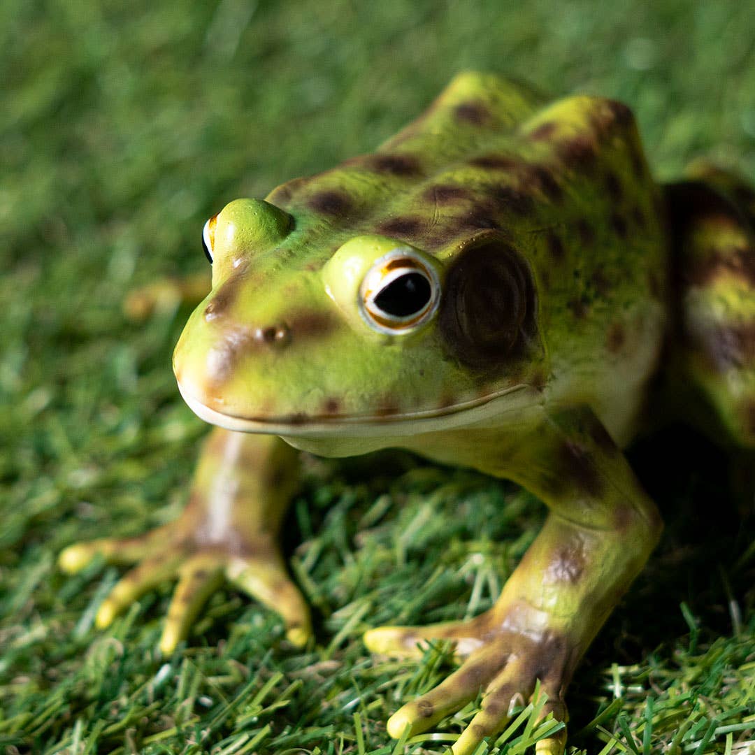 Pacific Trading - Wholesale Decorative Figurine - Frog6