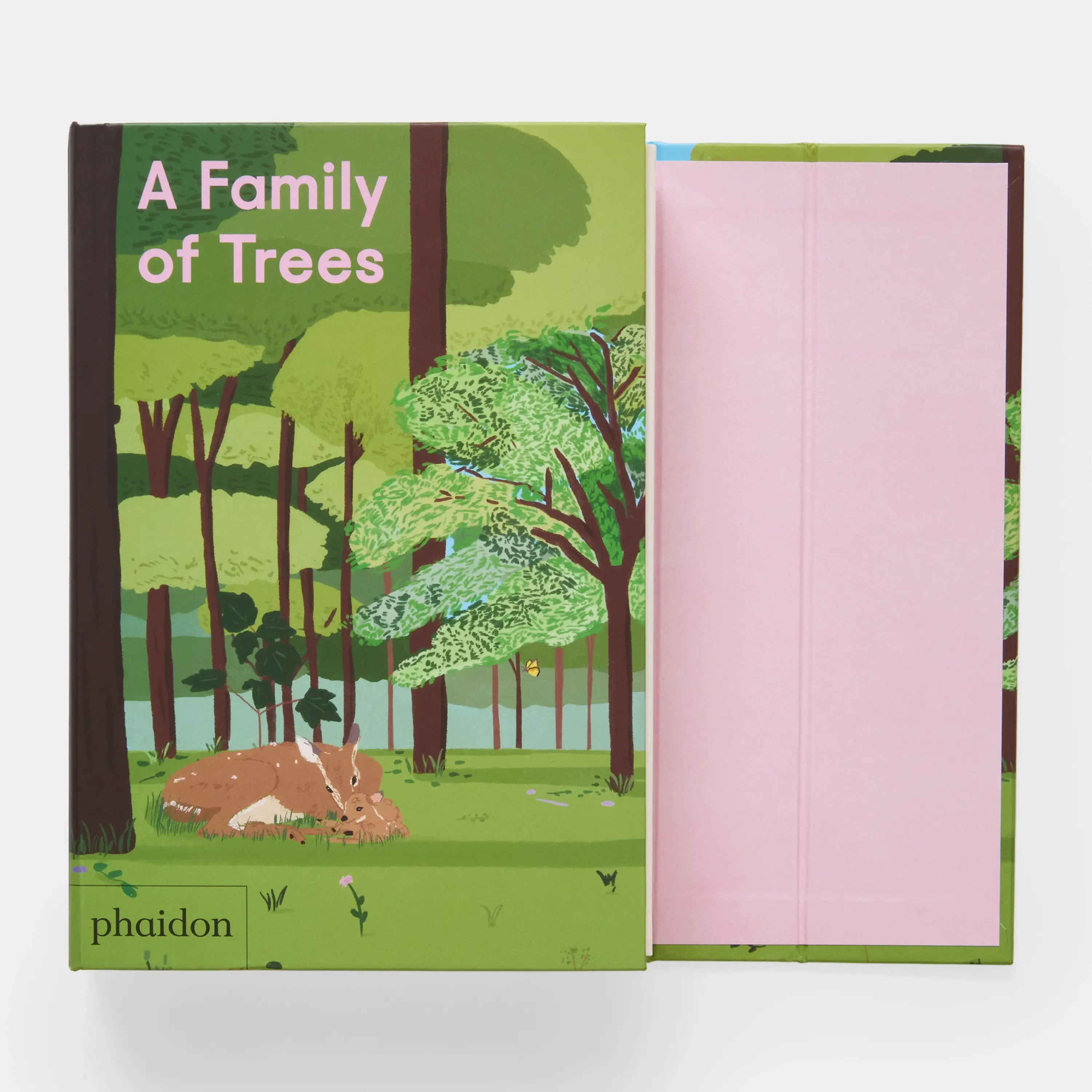 Phaidon Press - Vente Livre pour enfants de maternelle (de 3 à 5 ans) - Une famille d'arbres : mon premier livre sur les forêts8