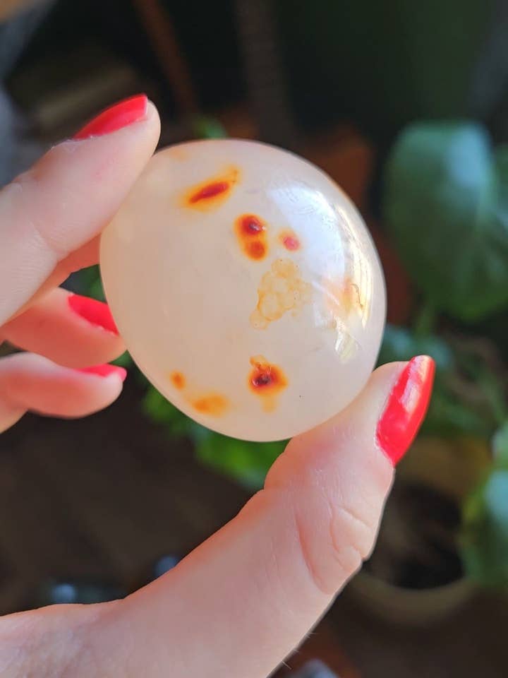 Palmstone Cornalina pontilada por atacado de Little Miss Cosmic