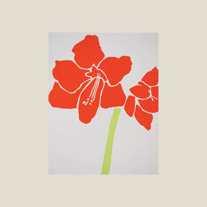 Tarjeta Amaryllis para venta al por mayor de Kinaloon