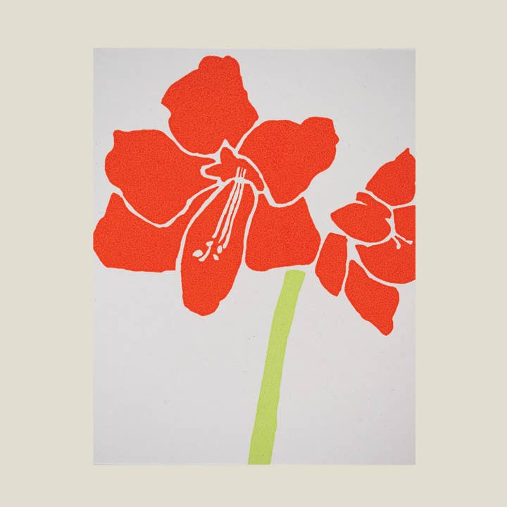 Amaryllis card for wholesale by Kinaloon