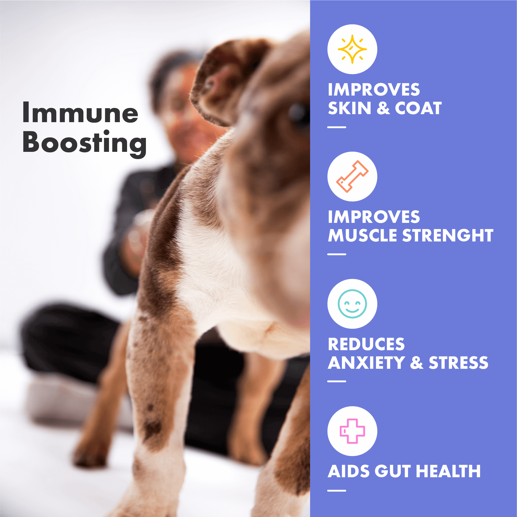 DotDotPet – wholesale Pet supplement – Dog – Plasma Dog Wellness Gummies – Daily Supplement 30 Pack3