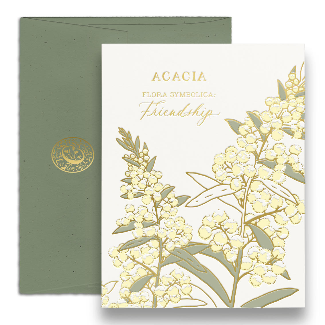 Ciarra Claire - Wholesale Friendship Card - Acacia | Language of Flowers Greeting Card4