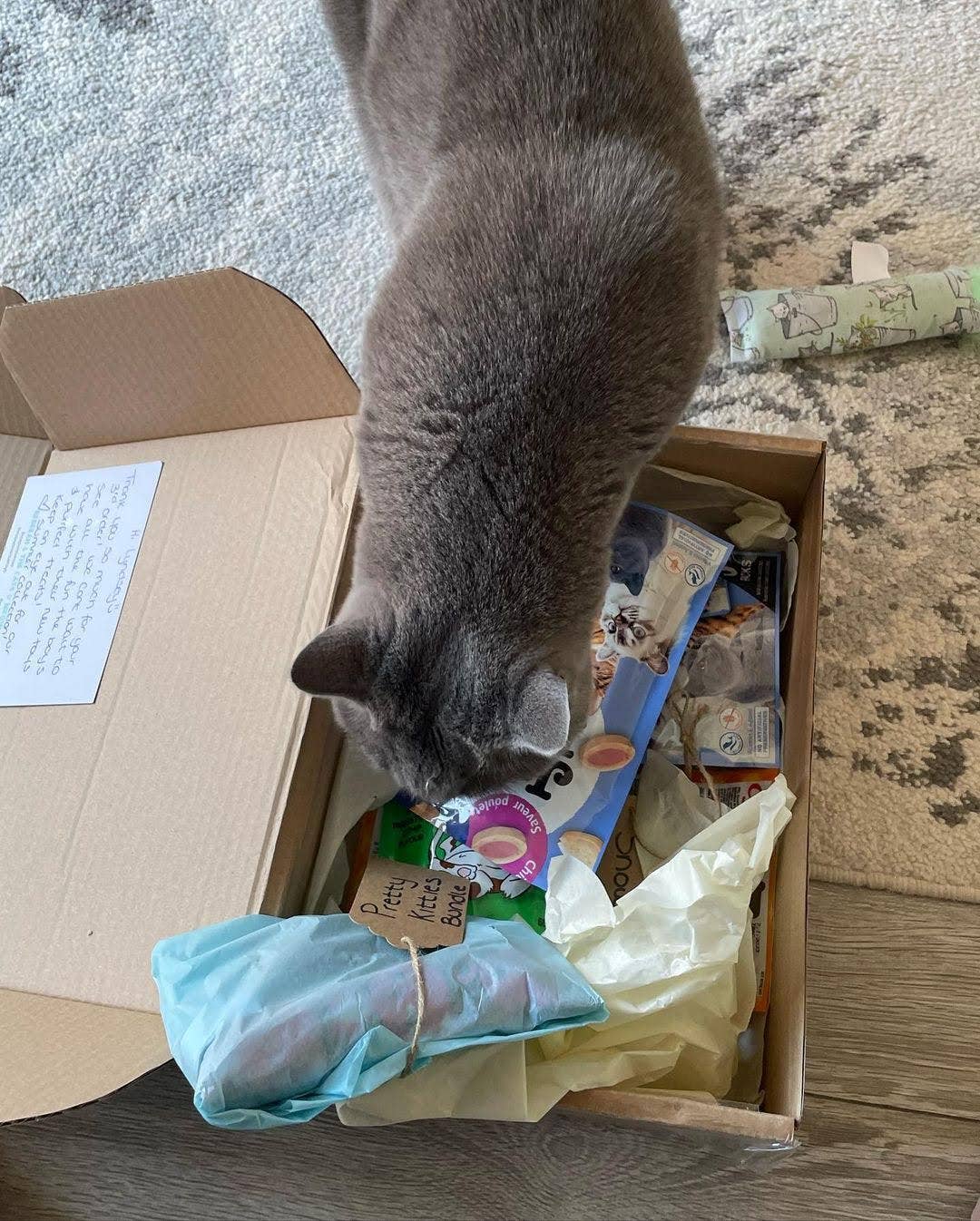 Meow Avenue – wholesale Leksak - Katt – Meow Avenue Kattmynta Kicker4