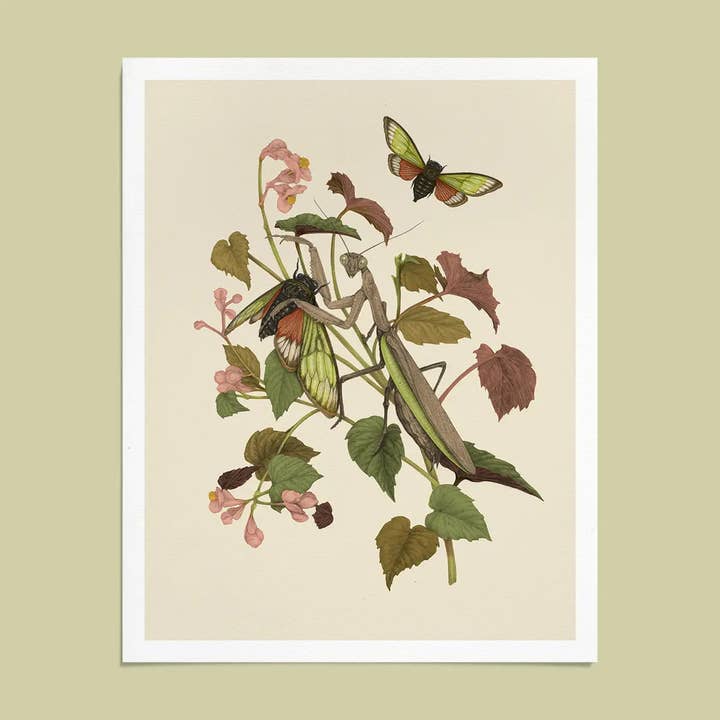 8x10" or 11x14" Fine Art Giclee Print: Mantis & Cicadas for wholesale by Mustard Beetle