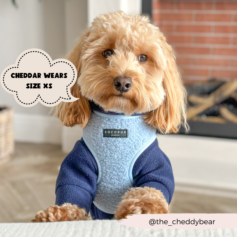 Cocopup London – wholesale Pet harness – Dog – Teddy Daydream Adjustable Neck Harness6