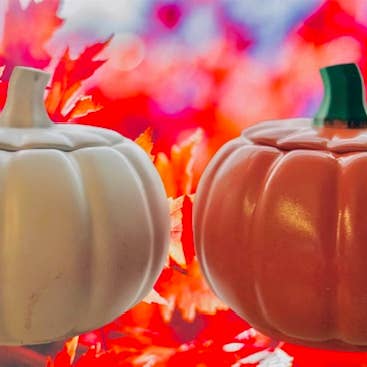 Houston Candle Company - Wholesale Jar/Filled Candle - Pumpkin Candle, Hand made Twisted Pumpkin Scent