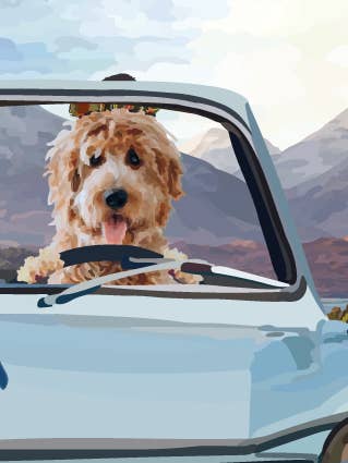 136C wind, sun and glen / dog driving vintage car / hills for wholesale by Periodic Society