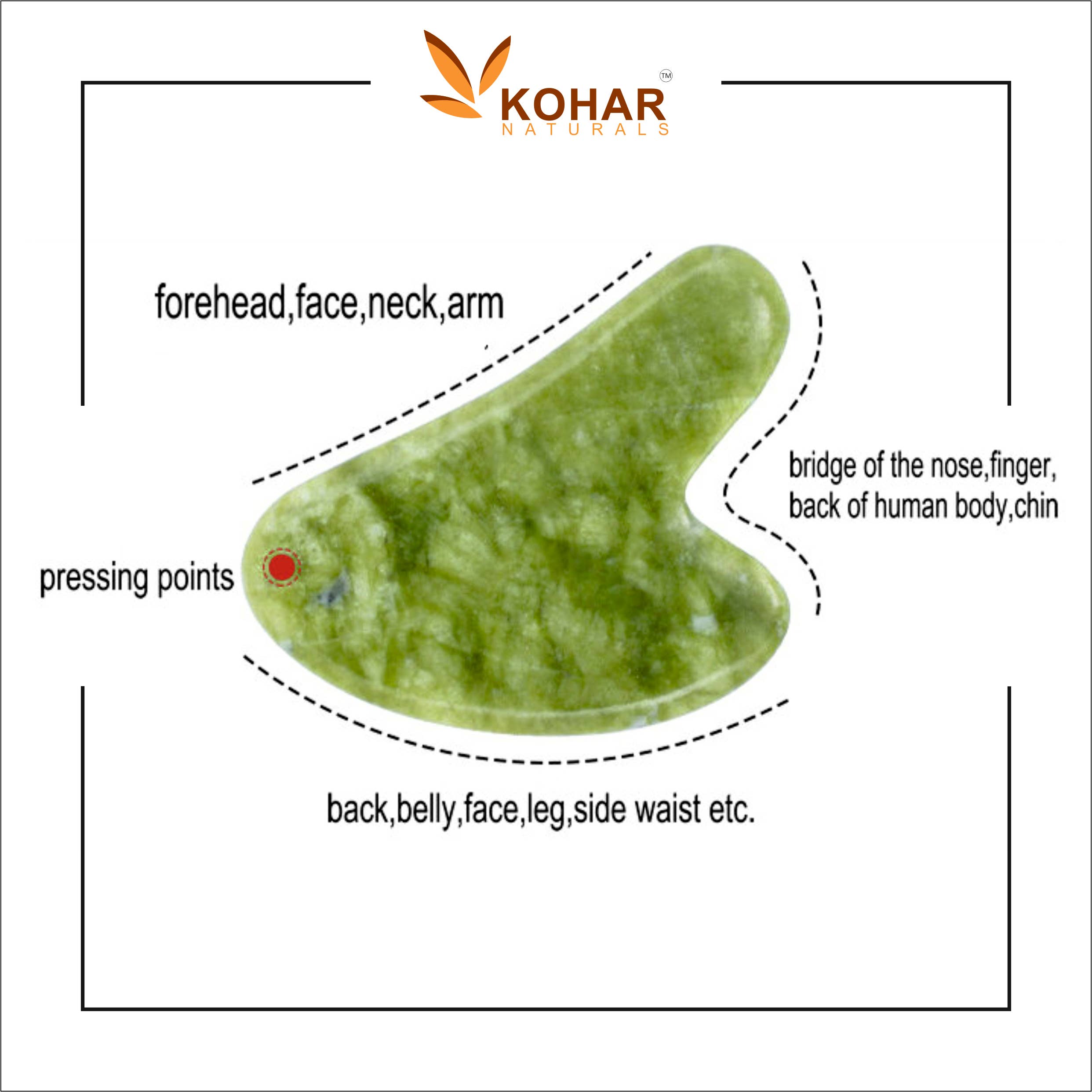 KOHAR NATURALS - Wholesale Gua Sha Tool - Natural jade Stone Roller and Gua Sha face massage Gift Set2