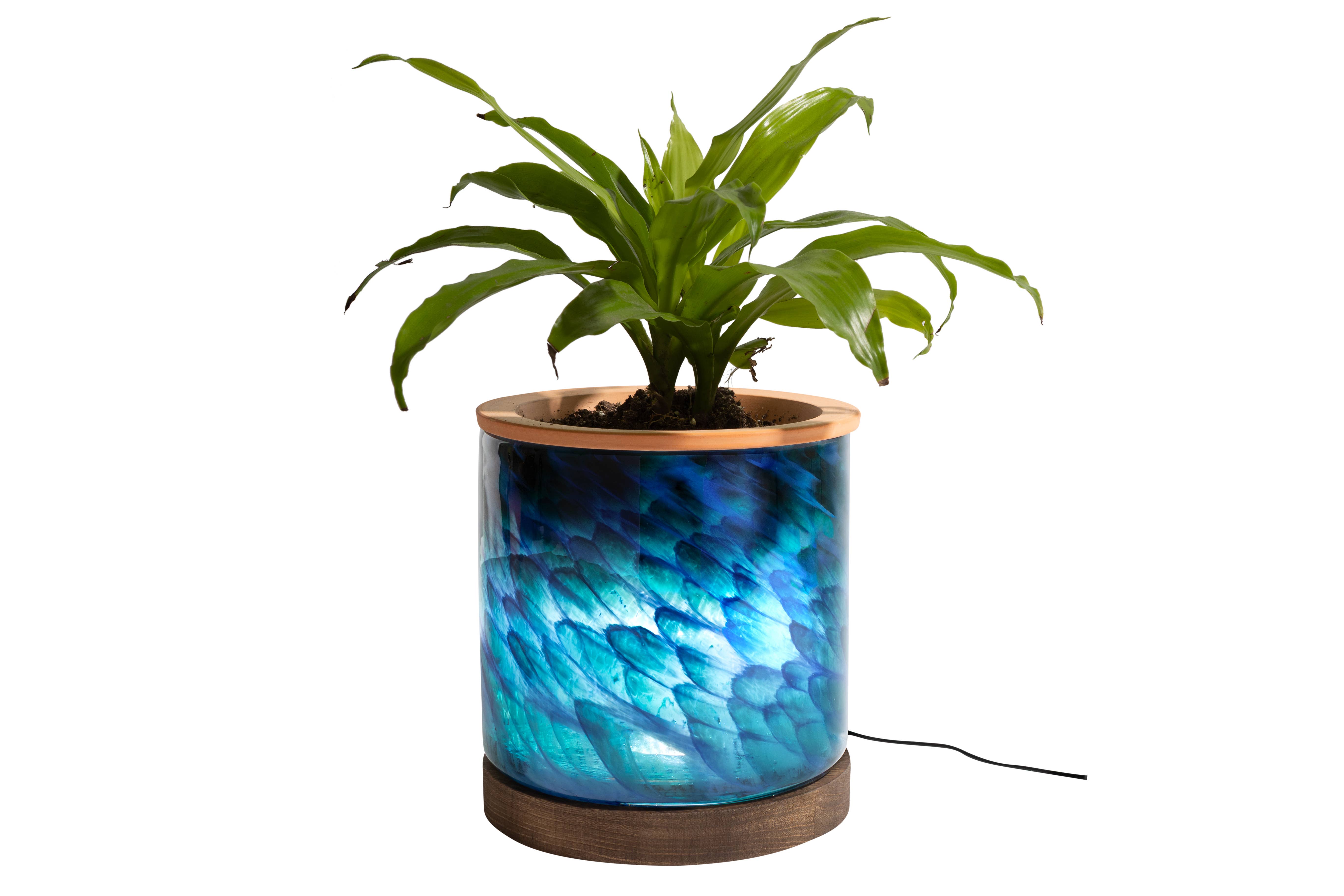 ApricotMint - Wholesale Plant Pot - 8" Art Glass LED Self Watering Planter (USB Plug-in)