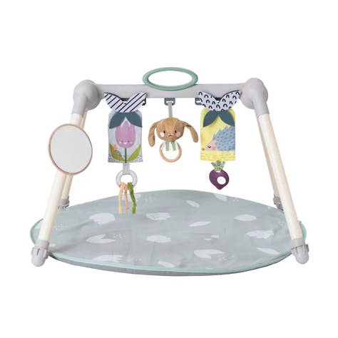 Taf Toys Urban Garden Foldable Gym for wholesale by Taf Toys