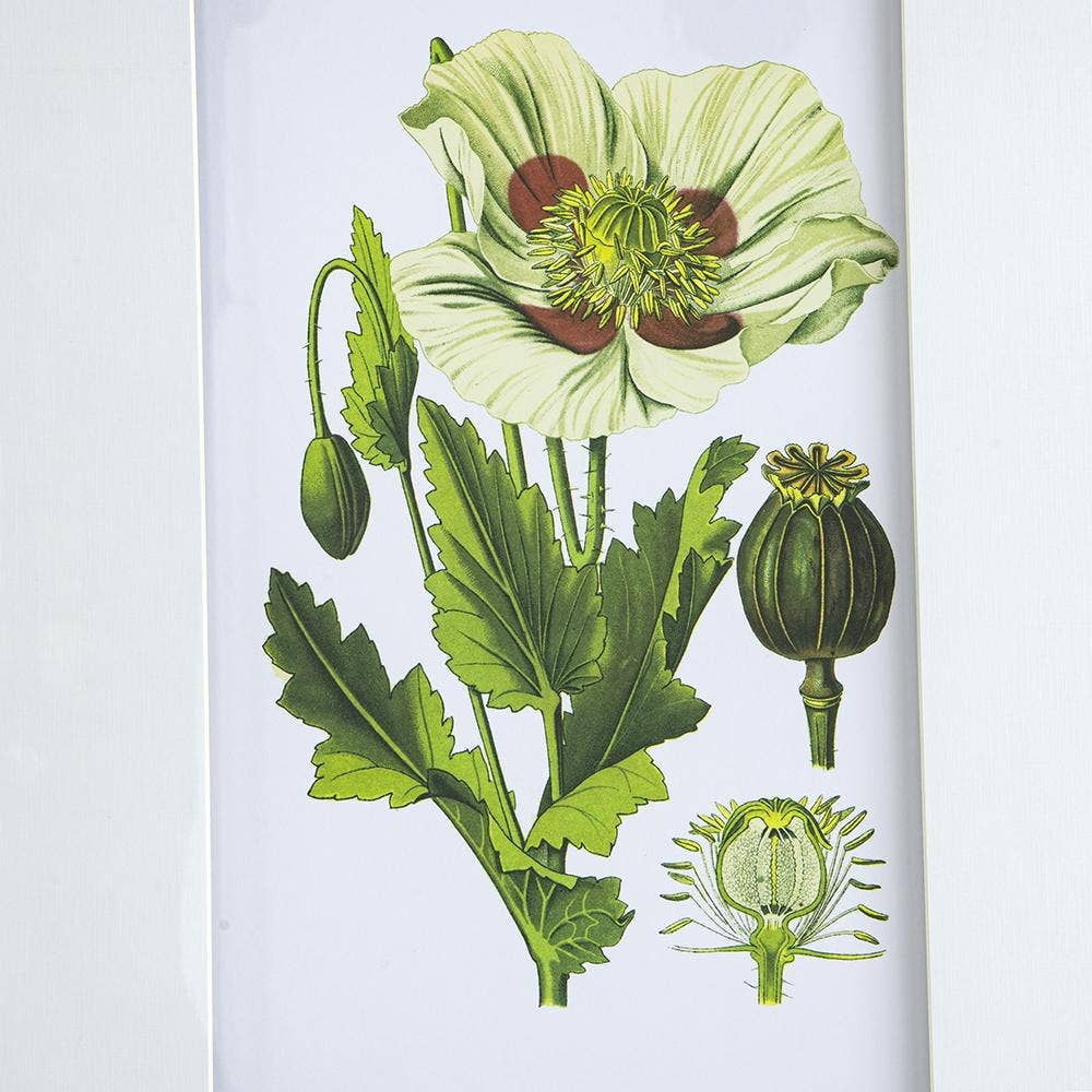 A&B Home Group Inc. - Wholesale Wall Art Set - S/4 Wall Art2