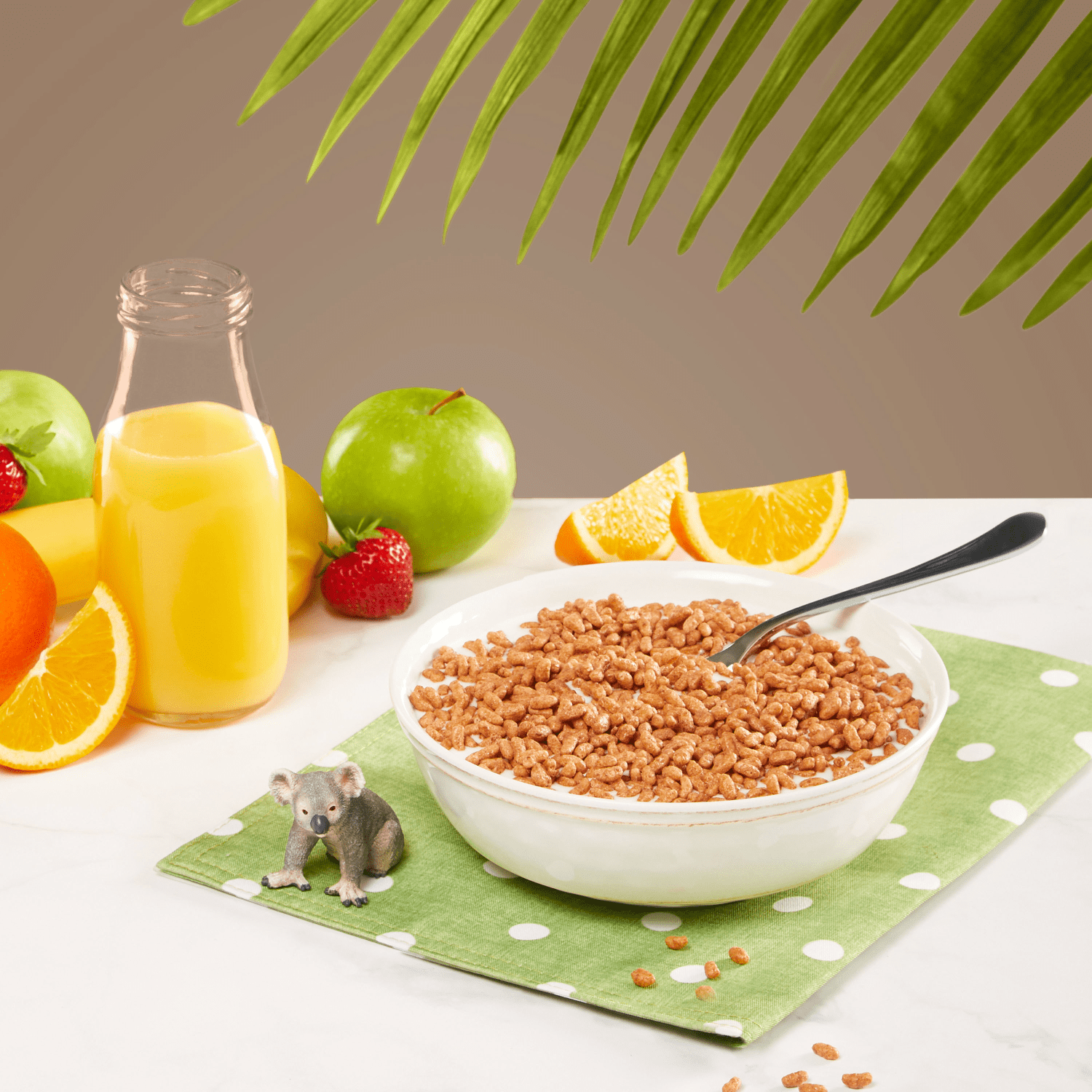 Nature's Path - Wholesale Breakfast Cereal - Koala Crisp Cereal, 240 oz Bulk Box1