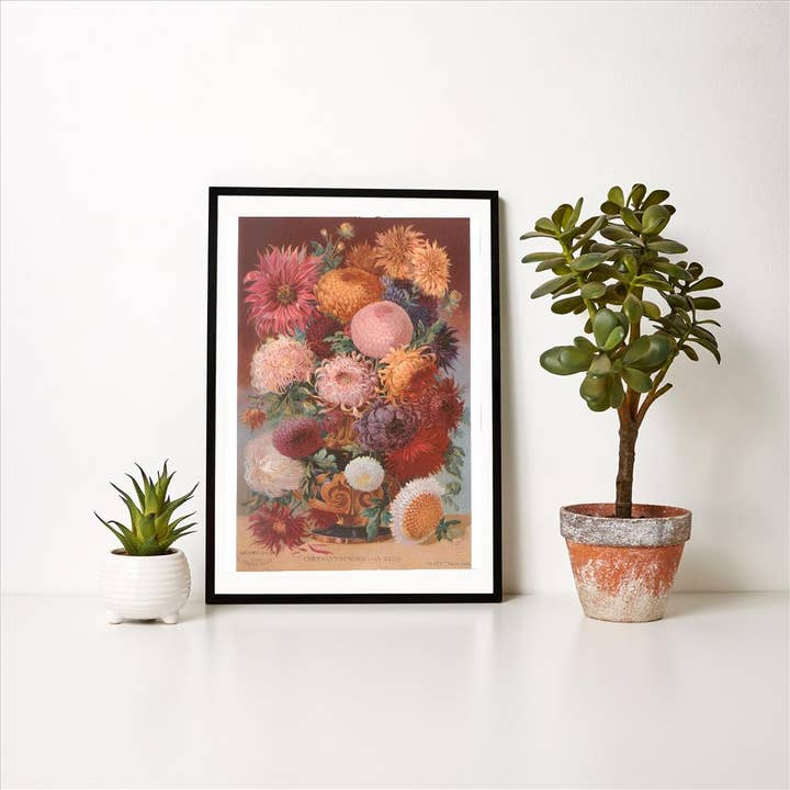 Found Image Press - Wholesale Art Print - Art Print FC-168 Chrysanthemums from Seed1
