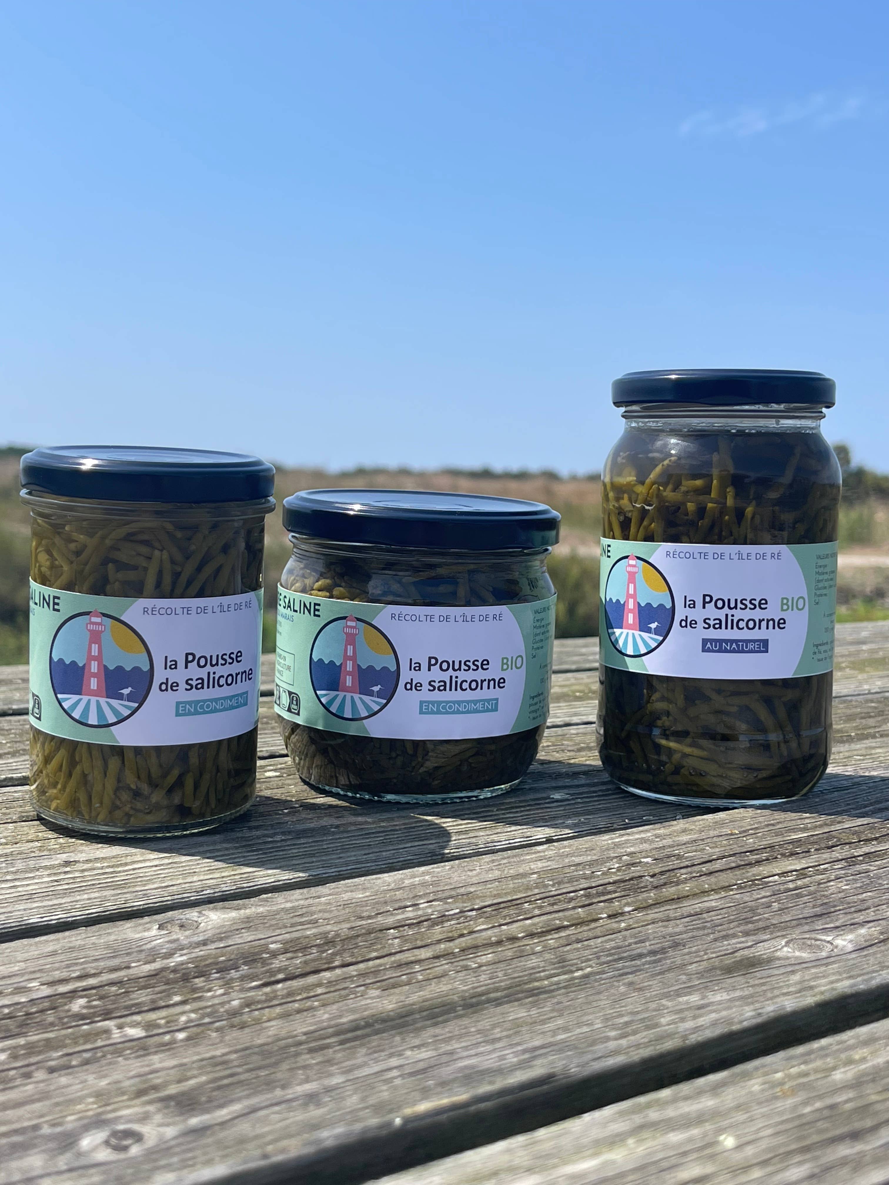 Terre Saline - Wholesale Pickled Vegetables - Natural organic samphire sprout 120 g1