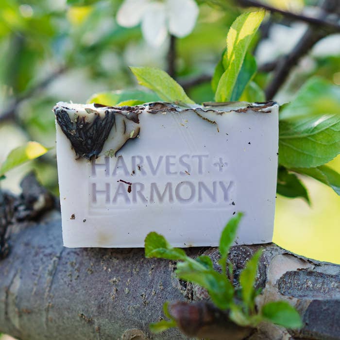 Harvest + Harmony - Wholesale Bar Soap - Harvest + Harmony Rose Petal Goat Milke Soap With Dish7