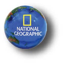 Shasta Visions - Venta al por mayor Artículo decorativo de mesa - Mármoles naturales de 1 pulgada, bolsa de 503