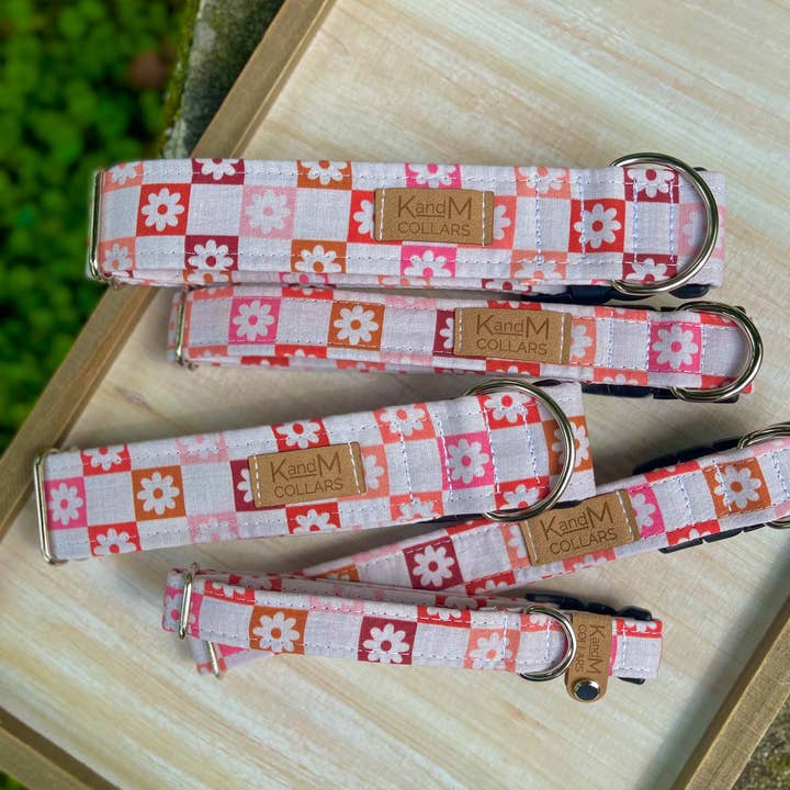 K and M Collars, LLC - Wholesale Pet Collar - Dog - Boho Flowers Checkered Dog Collar, Fall, Halloween, K and M