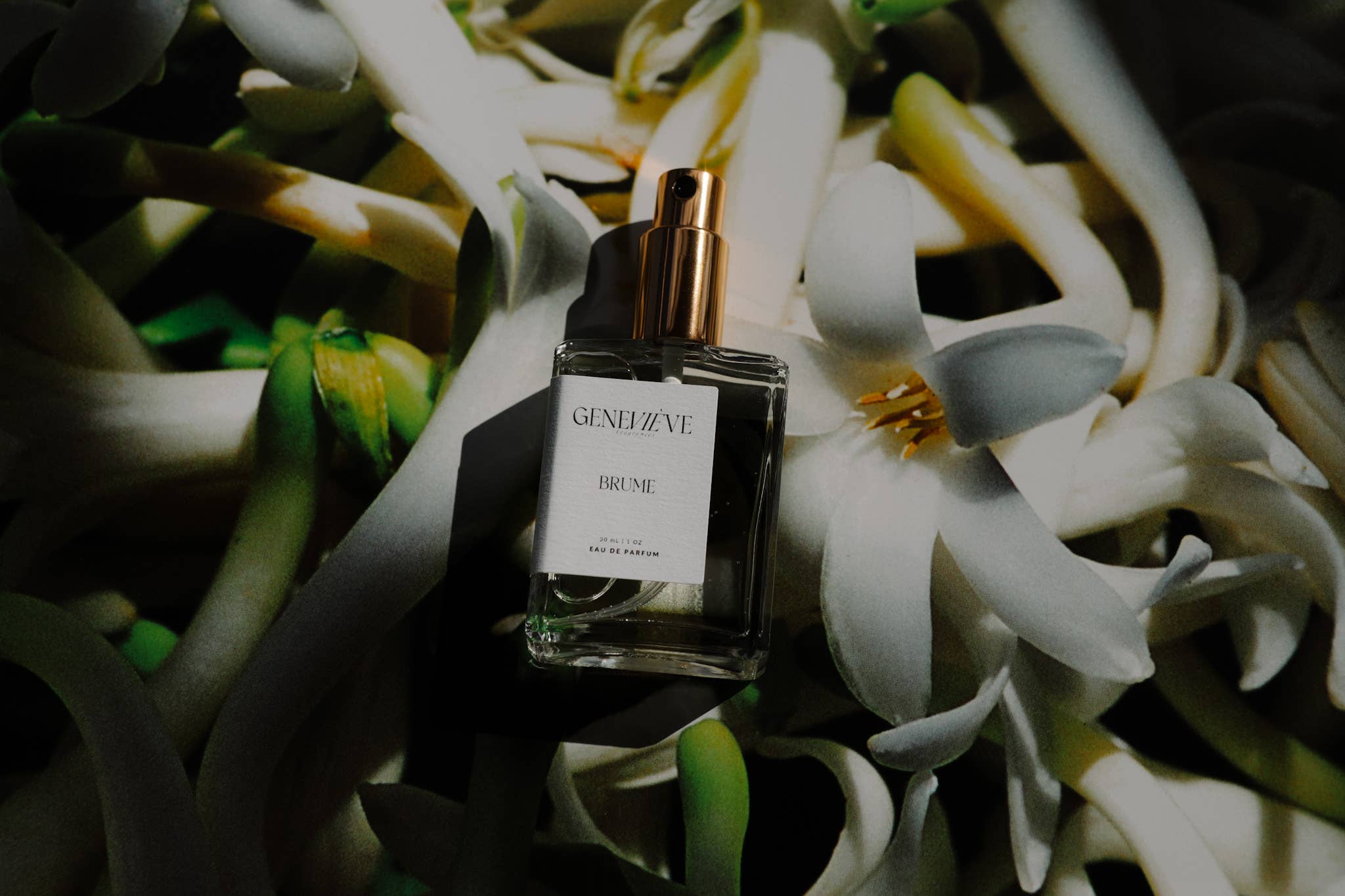 Geneviève Fragrances - Wholesale Perfume/Eau de Toilette - Brume Eau de Parfum | Sandalwood Jasmine3