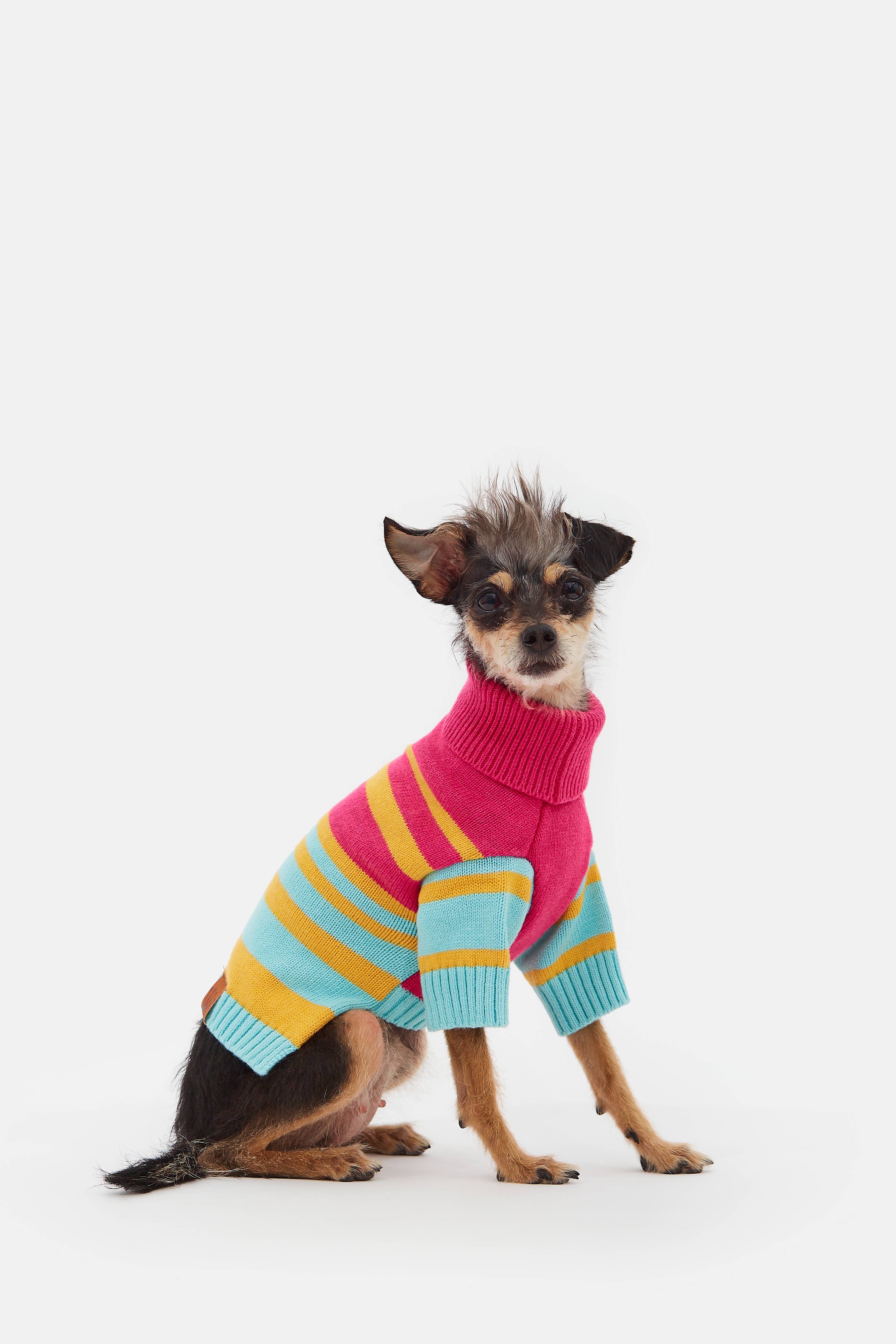 ARISTOPET - Wholesale Pet Sweater - Dog - BERNARD JERSEY5