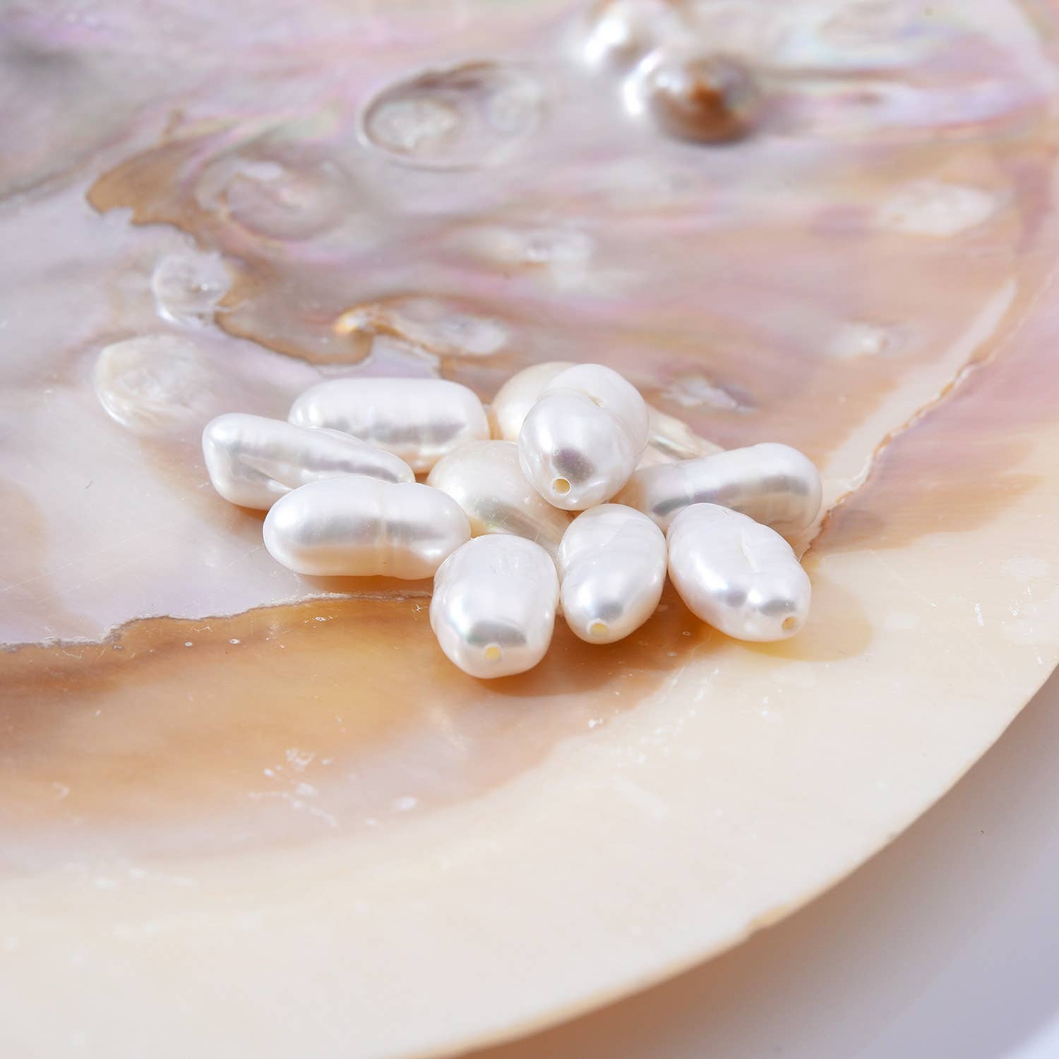 findings4uGem – wholesale Pärlband/Pärlhalsband – Naturliga vita keshipärlor i sötvattensfärg, FWP0088