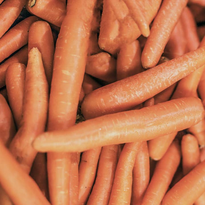 NOKO - Vendita all'ingrosso Olio essenziale - Olio essenziale di semi di carota 15 ml1