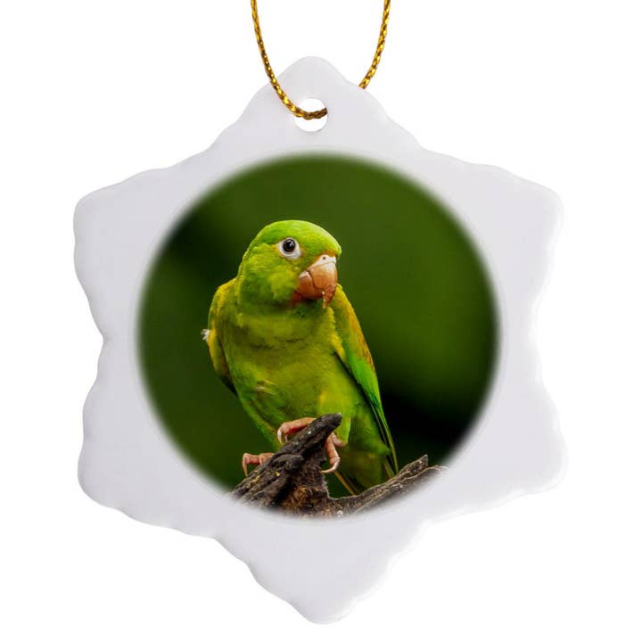 3dRose - Wholesale Ornament - 3dRose, Costa Rica. Orange-chinned parakeet close-up., Ornament7