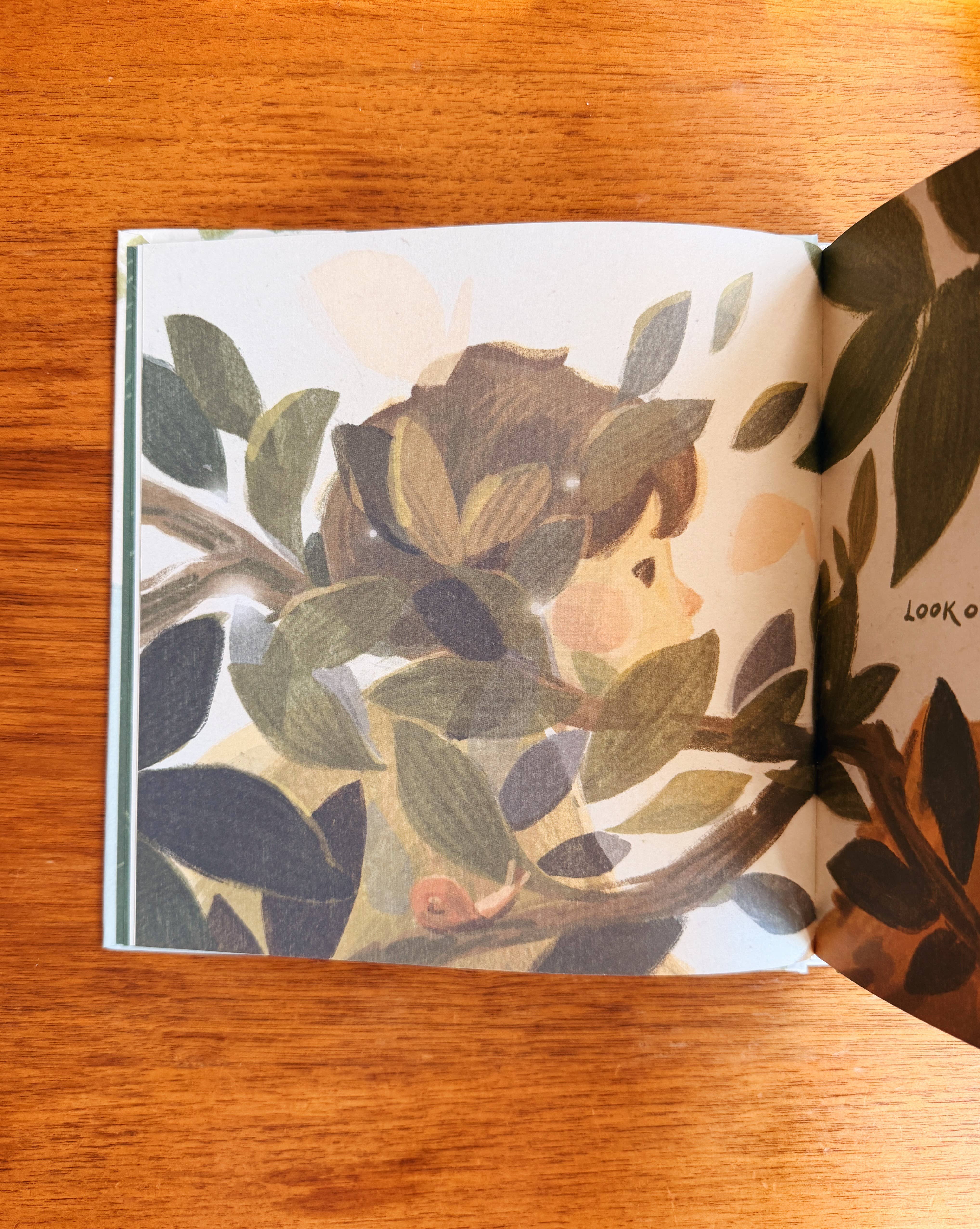 Mimochai – wholesale Pre-school book (3–5) – Treasure Everywhere Book PRE-ORDER ✨ 6