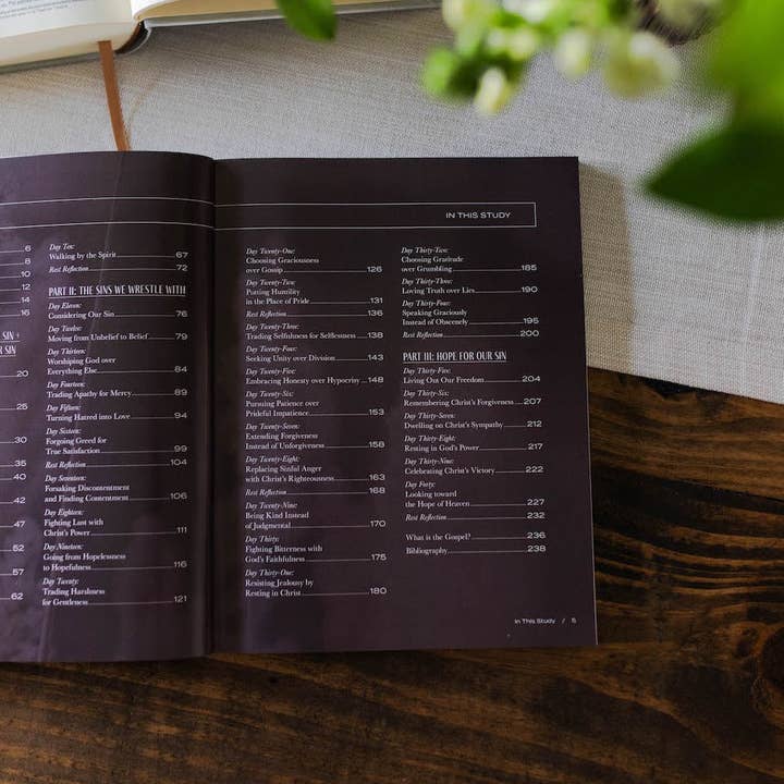 The Daily Grace Co - Wholesale Religion - From Death to Life | 40 Day Study7