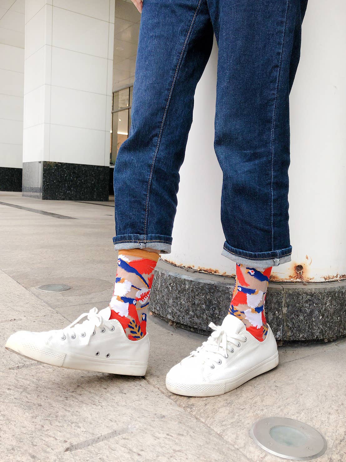 PAPERSELF - Wholesale Socks - Women's - Parrot Sheer Socks - Yellow Cuff5