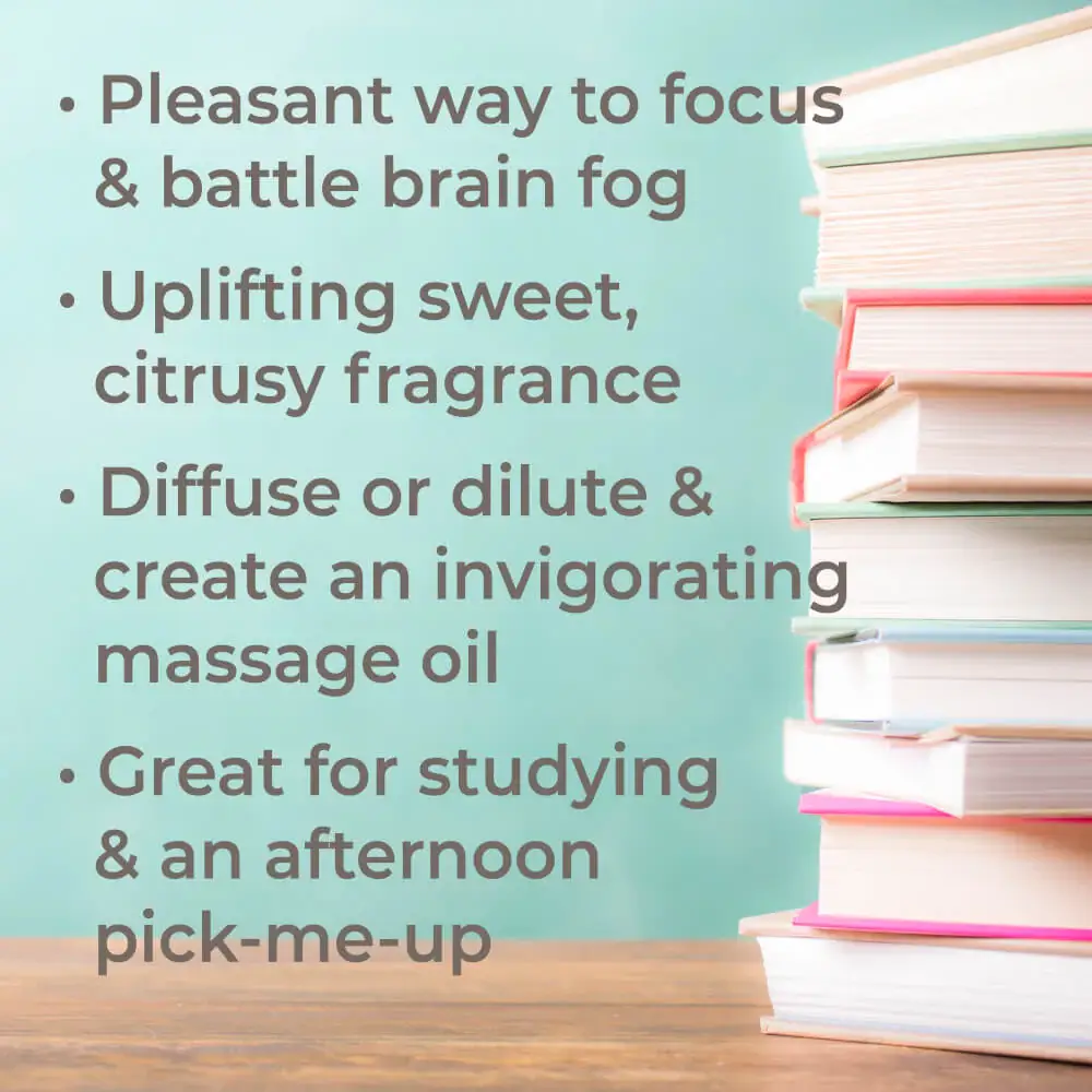 Plant Therapy - Wholesale Essential Oil - Brain Aid Essential Oil Blend 10 mL4