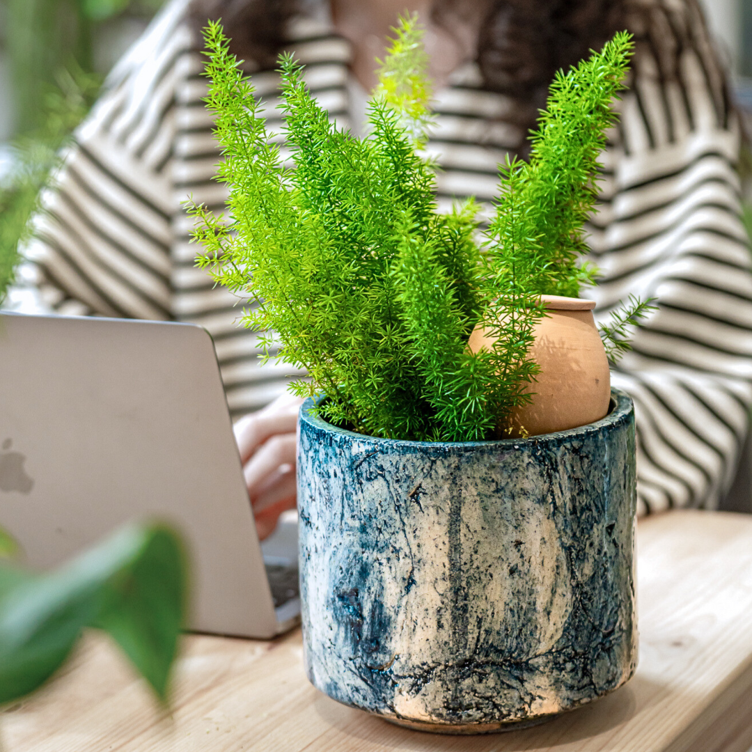 LUTOYA CREATIV - Vendita all'ingrosso Annaffiatoi - Grande vasca per irrigazione ecologica - Lutoya Original - 70 cl3