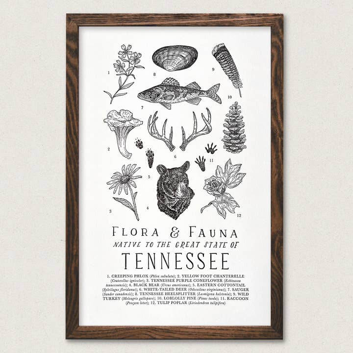 Tennessee Field Guide for wholesale by The Wild Wander