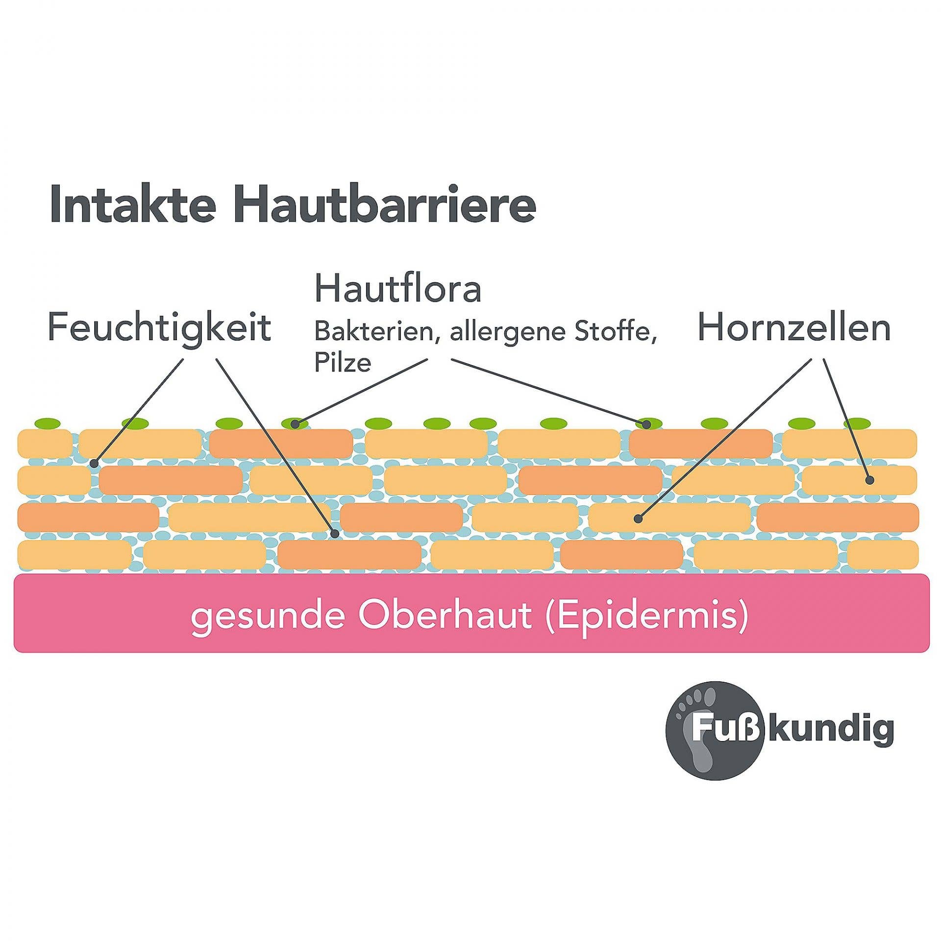 Fußkundig - Wholesale Foot Cream - Foot special care foam against calluses and cracks 150 ml3