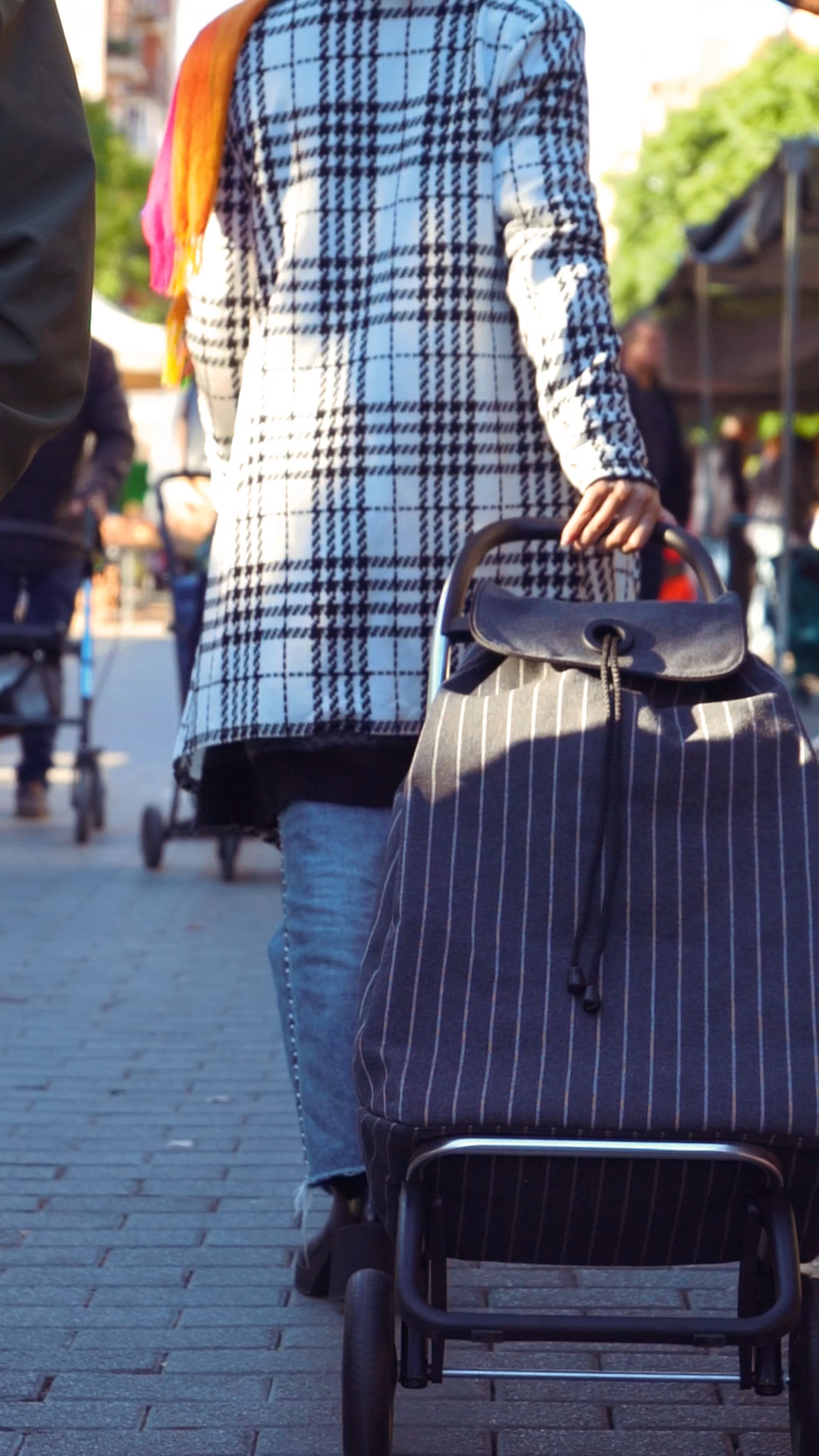 Rolser - Wholesale Grocery/Shopping Bag - Eco IMax 6L23