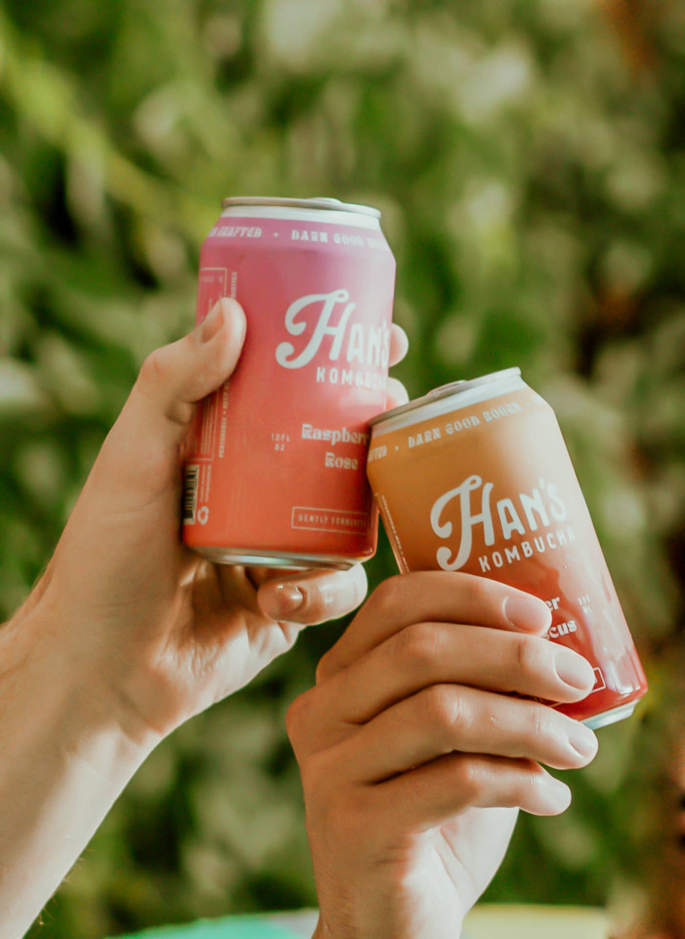 Han's Kombucha by HK Brewing Collective - Wholesale Kombucha - Ginger Hibiscus Kombucha3