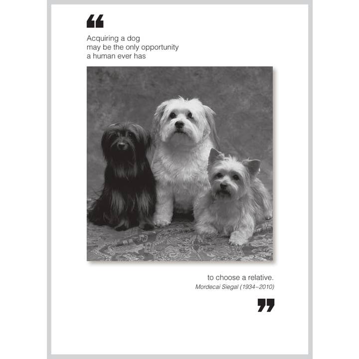 The Borealis Press Inc - Wholesale Everyday Greeting Card - Acquiring a dog All Occasion Greeting Card