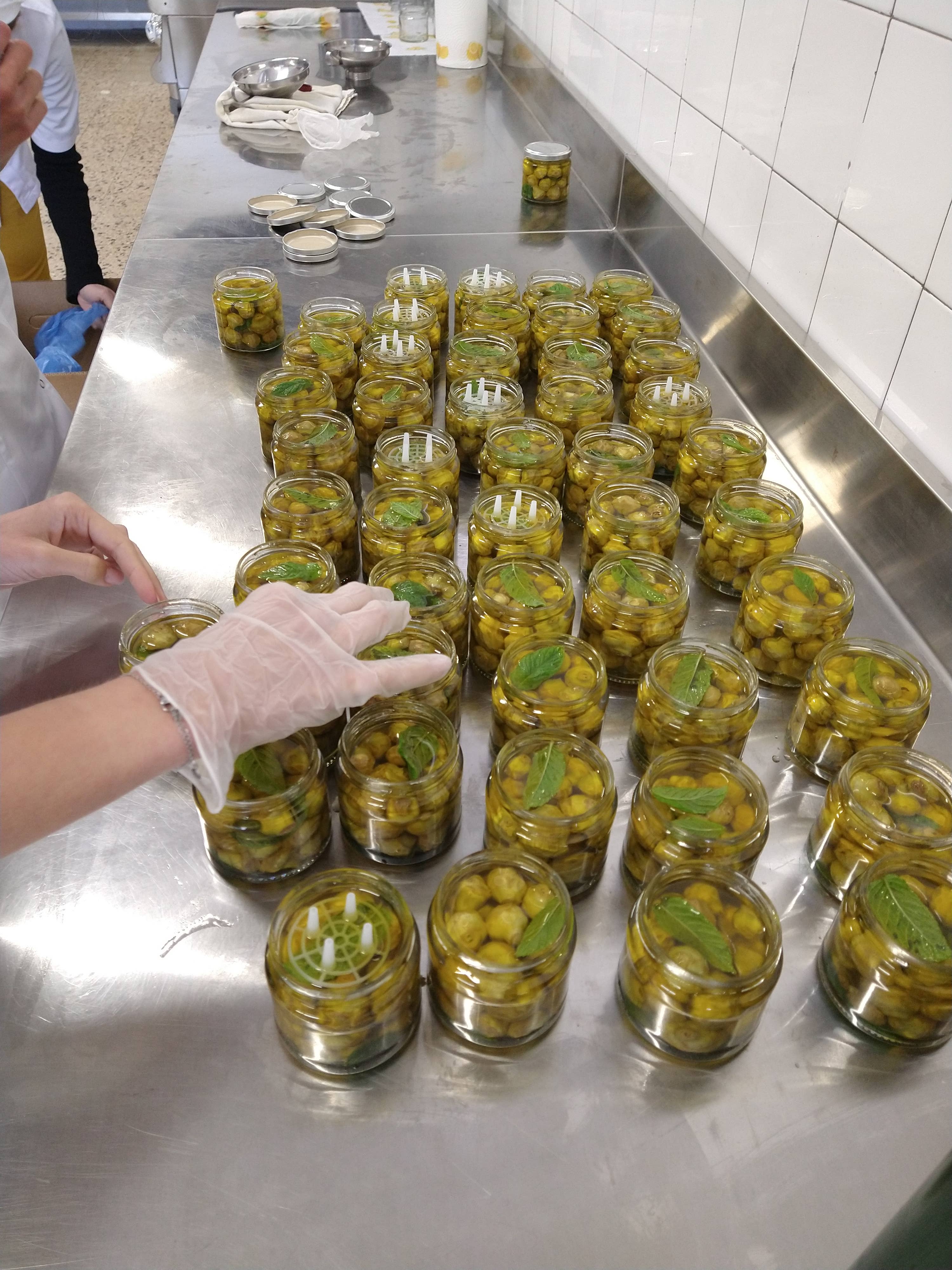 Caterisana - Wholesale Pickled Vegetables - WILD ARTICHOKES IN EXTRA VIRGIN OLIVE OIL8