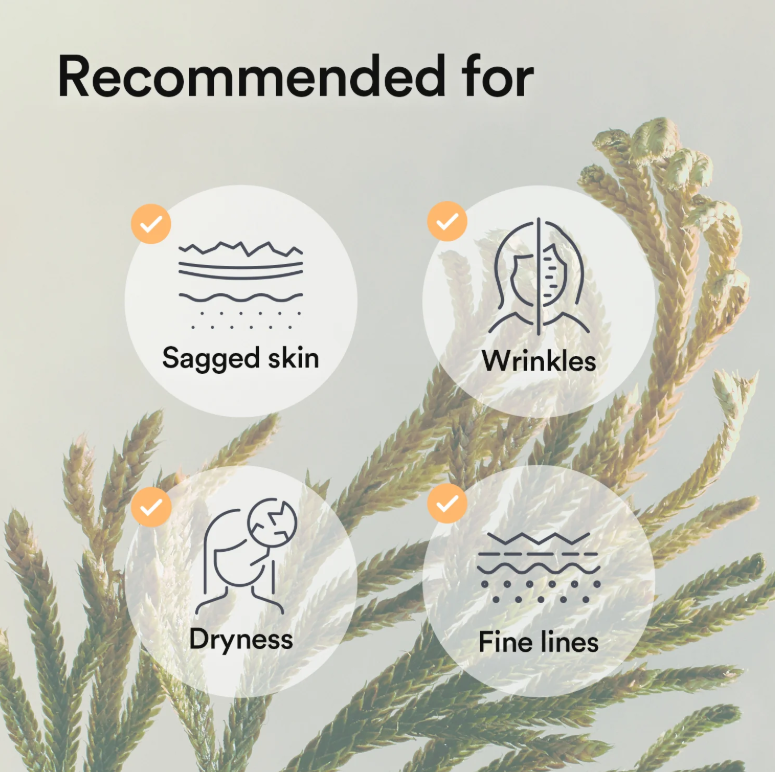 Best Beauty Group - Wholesale Skincare Face Mask - ABIB Collagen Gel Face Mask Vegan11