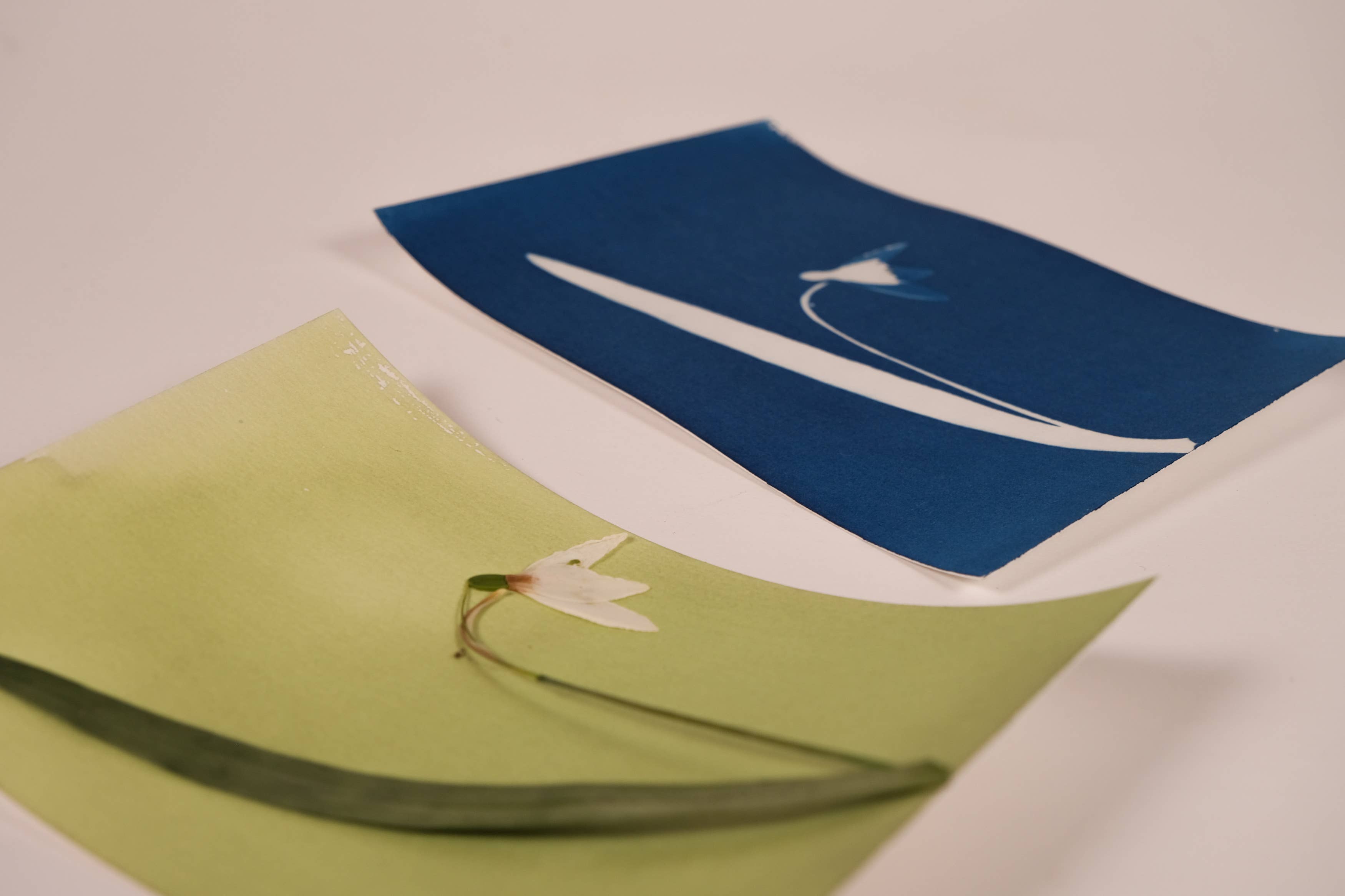 L'Atelier des Epatants - Venta al por mayor Kit de manualidades - Mini kit de cianotipo7