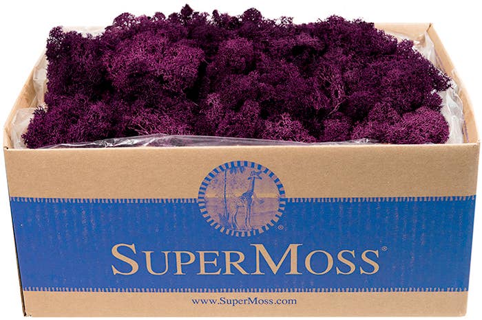 SuperMoss - Wholesale Dried/Pressed Flowers - Reindeer Moss Preserved 3lb Bulk Box3