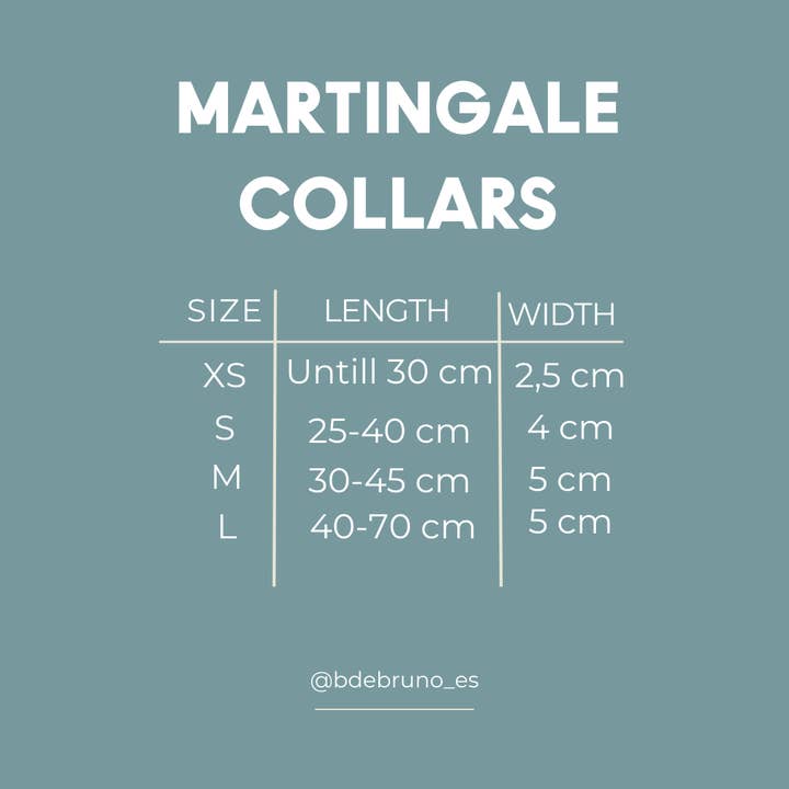 B de Bruno ES - Venta al por mayor Collar - Perros - Collar Martingale Enzo Perro