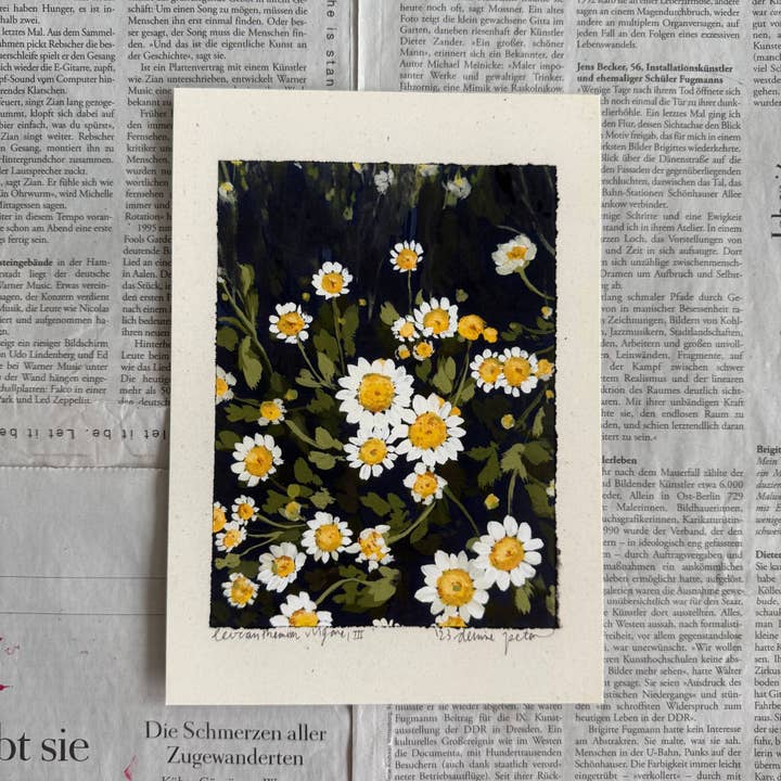 Leucanthemum vulgare III impression pour la vente par denaisx